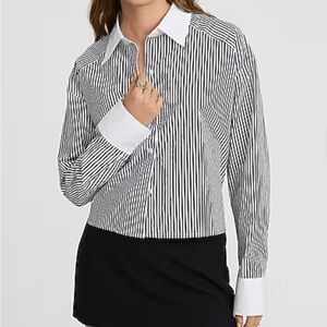 Express Stretch Cotton Poplin Striped Shirt